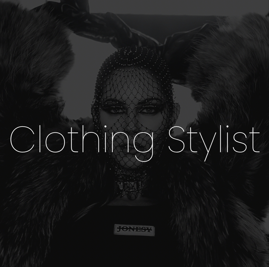 PROFESSIONAL WARDROBE STYLIST